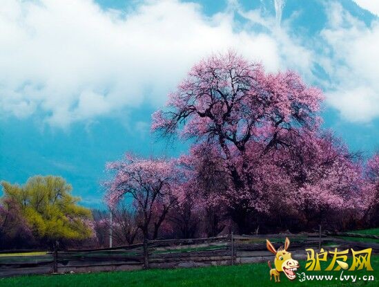 QQ图片20150228114519.jpg
